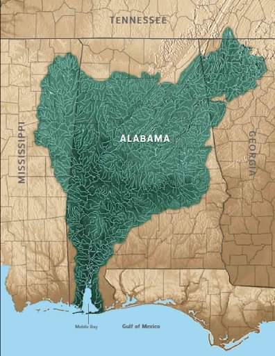 File:Alabama - river watershed diversity.jpg