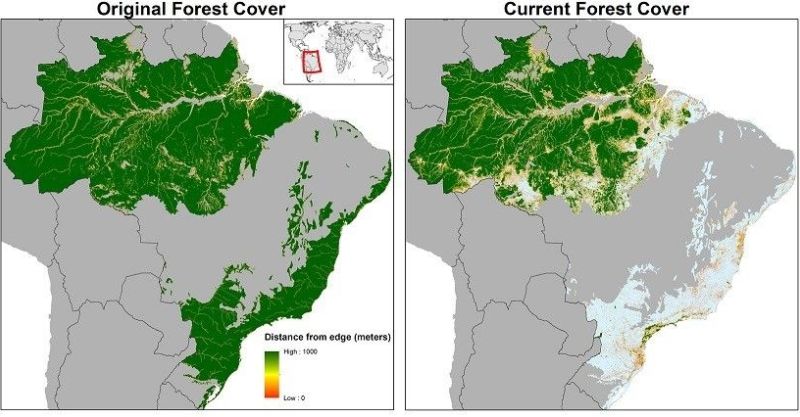 File:Amazon deforestation timeline.jpg