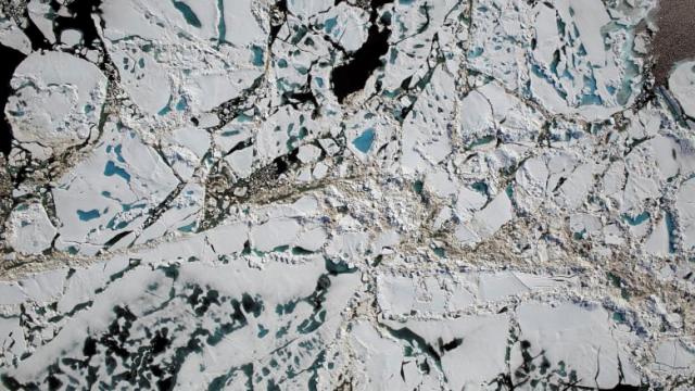 File:Arctic Sea Ice Feb 2018 NASA.jpg