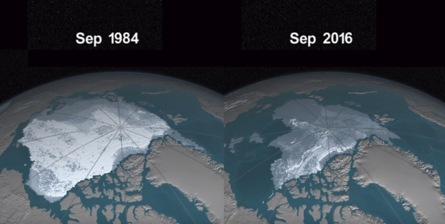 Arctic ice Sep 1984 - Sep 2016 vid.png