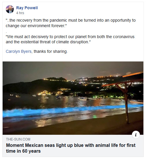 File:Blue bioluminescent plankton in Acapulco.jpg