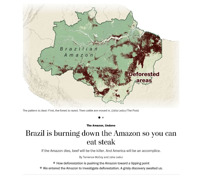 Brazil Amazon deforestation - circa 2022.png