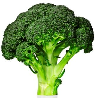 File:Broccoli ;-.jpg