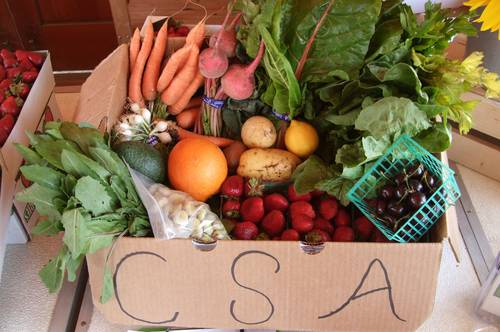 File:CSA Community Supported Agriculture practices.jpg