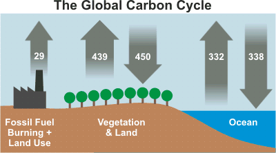 File:Carbon Cycle Numbers-Source IPCC AR4.gif
