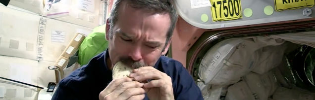 File:Chris and the Space Tortilla folded.jpg