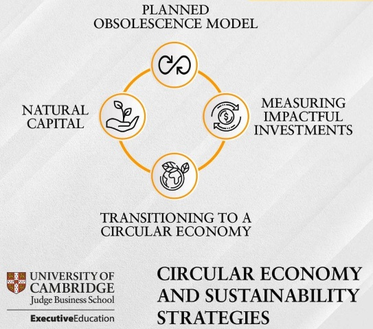 File:Circular Economy - Sustainable Strategies.png