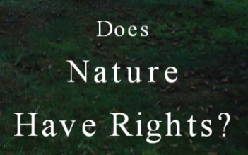 Does Nature Have Rights.png