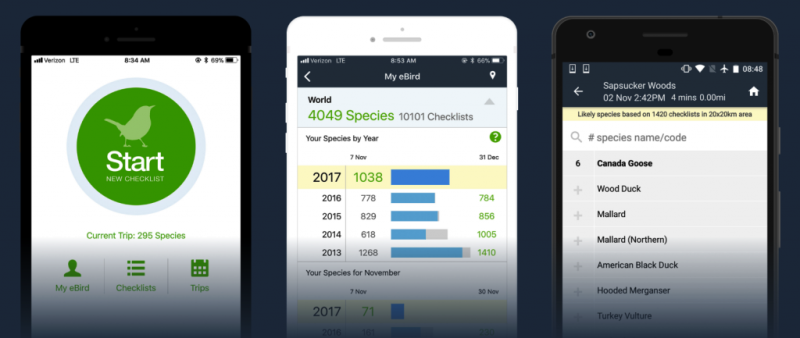 File:Ebird-mobile-apps.png