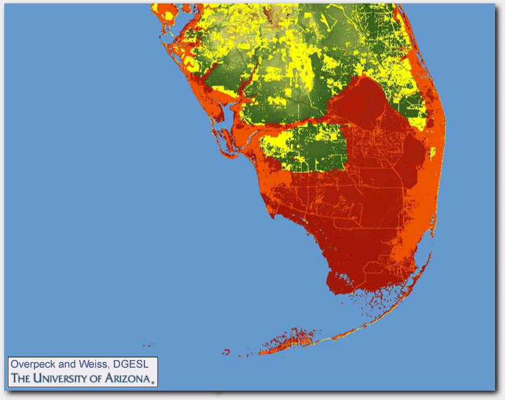 Florida sea level UofA study.gif