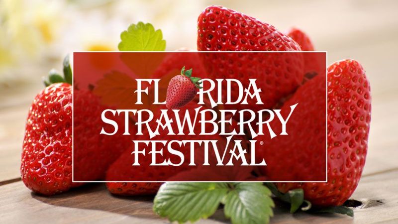 Florida strawberry festival.jpg