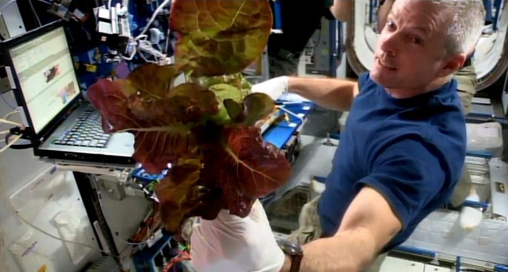 File:How does your garden grow in space m.jpg