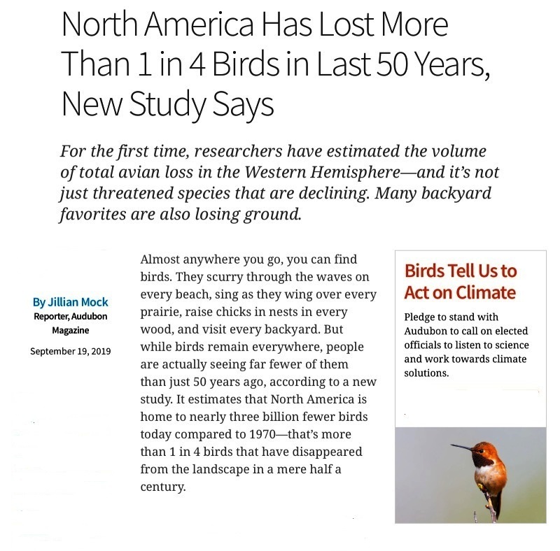 Loss of N American Birds - 1.jpg