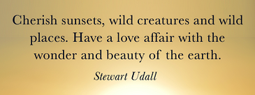 File:Love... the wonder and beauty of the earth - Stewart Udall, the Politics of Beauty.png