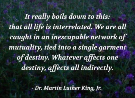 MLK - all life is interrelated.png