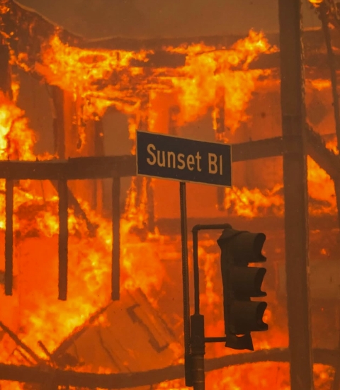 Palisades Fire - Sunset Blvd - Photo Apu Gomes.JPG