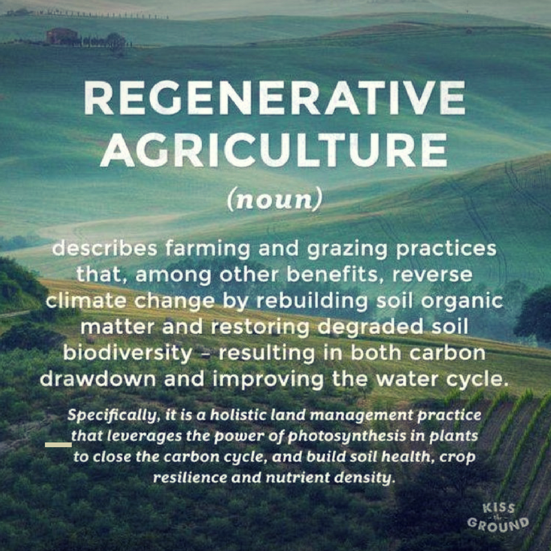 Regenerative Ag - Kiss the Ground - The Secret is in the Soil.png