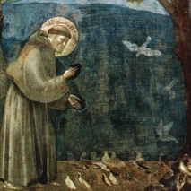 File:St.FrancisPreachingtotheBirds Giotto.jpg