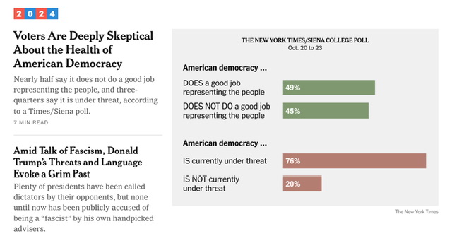 US Voters Poll - Democracy under Threat.jpeg