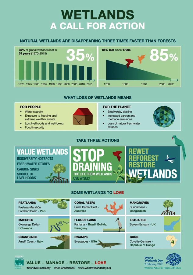 Value the Wetlands - UN Biodiversity Infographic 2023.jpg