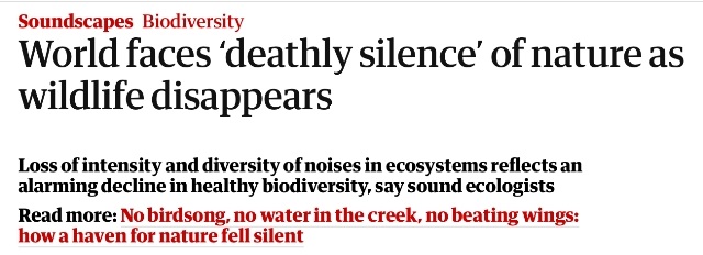 Wildlife silence. sound ecologists warning.jpg
