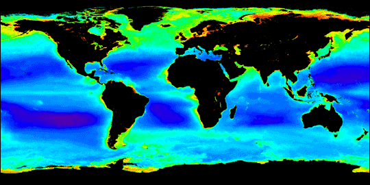 Worldwide view of oceans phytoplankton earth observatory nasa.gif