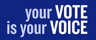 File:Your vote.png