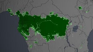 Congo percent forest cover gsfc nasa.jpg