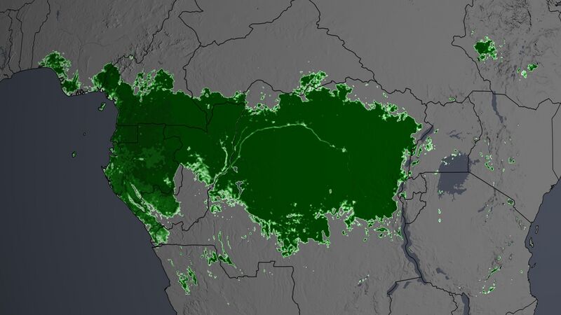 File:Congo percent forest cover gsfc nasa.jpg