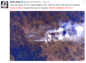 Deforestation from above Scott Kelly.png