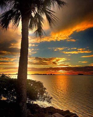 Dunedin, Florida sunset.jpg