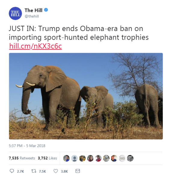 File:Elephant trophies.png