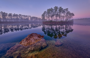 Everglades dawn Photo courtesy of Glenn Nagel.png