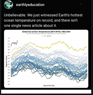 Global sea surface temperature 1982-2024.png