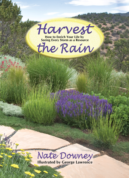 File:Harvest the Rain cover .png