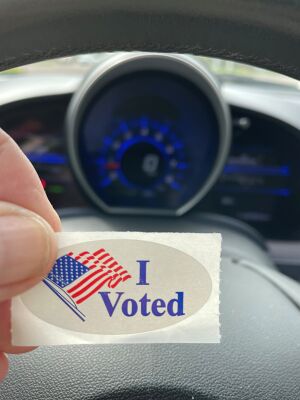 I voted.jpg