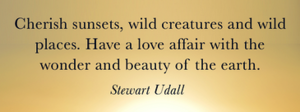 Love... the wonder and beauty of the earth - Stewart Udall, the Politics of Beauty.png