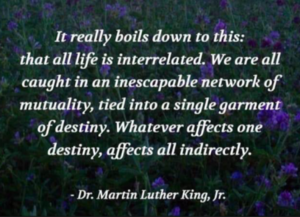 MLK - all life is interrelated.png