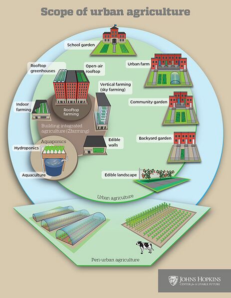 File:Scope-of-urban-agriculture .jpeg