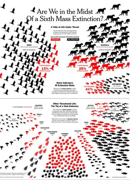 File:Sixth Mass Extinction Infograph-NYT - 2.jpg