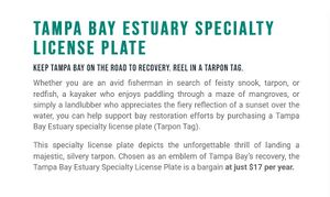 Tampa Bay Estuary License Plate.jpg