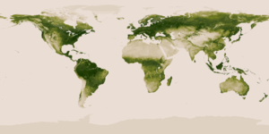 Vegetation around the world SUOMI satellite imagery.png